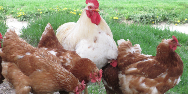 Screen Shot 2015-09-15 at 14.45.43